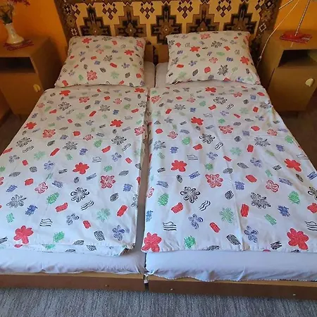 Villa Two-bedroom In - Balaton 19976 *